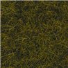 Wild Grass - Meadow 12mm high (40g)
