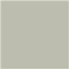 BR rail grey - Enamel Spray