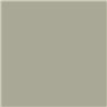 BR diesel roof grey - Enamel Spray