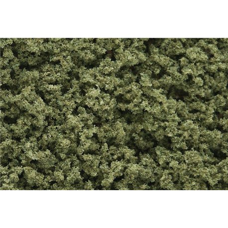 Olive Green Underbrush