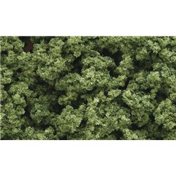 Light Green Clump Foliage