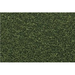 Green Grass Fine Turf