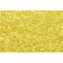 Tr Yellow Fall Coarse Turf