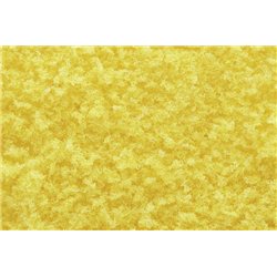 Tr Yellow Fall Coarse Turf