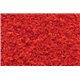 Tr Red Fall Coarse Turf