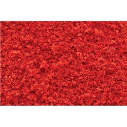 Tr Red Fall Coarse Turf