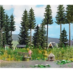 Forest pond with accessories
