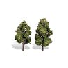 6"-7" Sun Kissed - Pack of 2