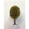 OO spring blos.orch tree