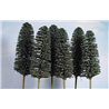 N 2-3" Deciduous 4 Pk