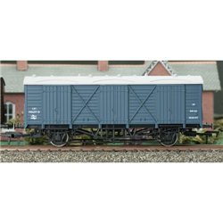 Fruit D Van Blue W38107